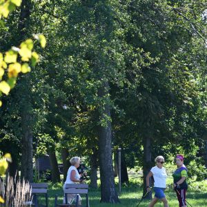 Warsztaty Nordic Walking 29.08.2022