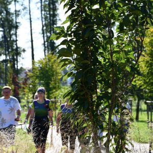 Warsztaty Nordic Walking 29.08.2022