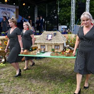 Zdjęcia z tegorocznych Dożynek Gminy Stryków w Dobieszkowie