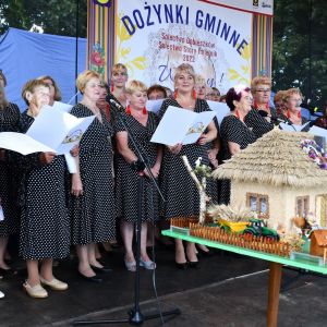 Zdjęcia z tegorocznych Dożynek Gminy Stryków w Dobieszkowie