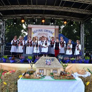 Zdjęcia z tegorocznych Dożynek Gminy Stryków w Dobieszkowie