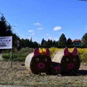 Zdjęcia z tegorocznych Dożynek Gminy Stryków w Dobieszkowie