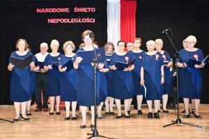 Klub Seniora Niesułków 11 listopada