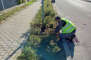 Jesienne prace na zieleńcach w Strykowie