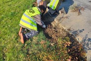 Jesienne prace na zieleńcach w Strykowie