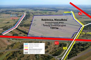 Rokitnica, Niesułków mapa terenu