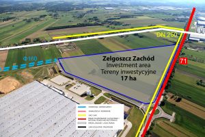 Zelgoszcz Zachód mapa terenu