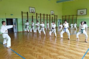 Klub Łódzkie Centrum Okinawa Shorin-Ryu Karate i Kobudo ,,BUSHI"