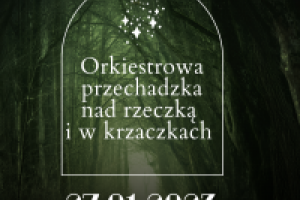 WOŚP Orkiestrowa Przechadzka 2023 #1