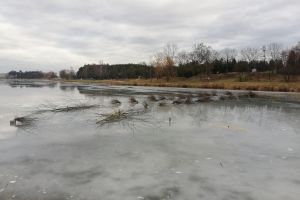 Stowarzyszenie Ekologiczno-Wędkarskie "Zalew" w Strykowie