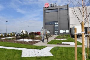 Zastępca Burmistrza Strykowa Tamara Barańska-Kiemaczyńska przekazuje sadzonkę lipy szerokolistnej Kierownikowi w firmie DPD...