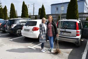 Akcja ekologiczna - "Bądź EKO i zasadź w Gminie Stryków drzewo"