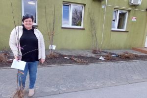 Akcja ekologiczna - "Bądź EKO i zasadź w Gminie Stryków drzewo"