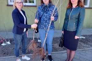 Akcja ekologiczna - "Bądź EKO i zasadź w Gminie Stryków drzewo"