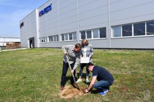 Akcja ekologiczna - "Bądź EKO i zasadź w Gminie Stryków drzewo"