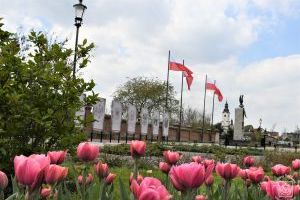 Stryków, flagi przy Pomniku Niepodległości