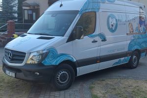 Dentobus w Strykowie