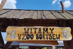 Wakacyjna wycieczka do Zoo Safari