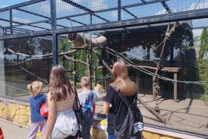 Wakacyjna wycieczka do Zoo Safari