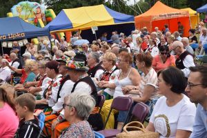 II Dzień Folkloru. Łódzkie na ludowo w Niesułkowie