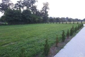 Zagospodarowanie terenu na działce sołeckiej w Sadówce