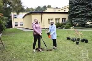 Akcja edukacyjno-ekologiczna „BĄDŹ EKO i zasadź w Gminie Stryków 🌳” - edycja jesień 2023. Przekazanie krzewów owocowych dla...