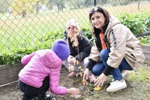 Akcja edukacyjno-ekologiczna „BĄDŹ EKO i zasadź w Gminie Stryków 🌳” - edycja jesień 2023. Przekazanie krzewów owocowych dla...