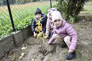 Akcja edukacyjno-ekologiczna „BĄDŹ EKO i zasadź w Gminie Stryków 🌳” Przekazanie krzewów owocowych dla Szkoły Podstawowej w...