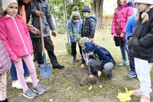Akcja edukacyjno-ekologiczna „BĄDŹ EKO i zasadź w Gminie Stryków 🌳” - edycja jesień 2023. Przekazanie krzewów owocowych dla...
