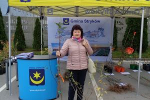 Akcja edukacyjno-ekologiczna „BĄDŹ EKO i zasadź w Gminie Stryków 🌳” - edycja jesień 2023.