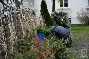 Szkoła Podstawowa Nr 1 w Strykowie, nowe nasadzenia zieleni na dziedzińcu obiektu