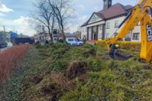 Szkoła Podstawoaw Nr 1, w trakcie nowych nasadzeń przed obiektem od strony ul. Warszawskiej