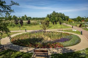 Nowy Park nad Moszczenicą, zieleniec otoczony alejką mineralno-żywiczną