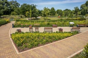 Nowy Park nad Moszczenicą, zagospodarowanie zielenią i elementy małej architektury