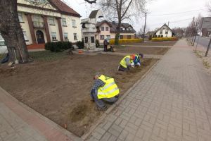 Zieleniec przy ul. Warszawskiej, w trakcie wykonywania nasadzeń