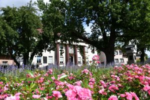 Skwer przy ul. Warszawskiej, po wykonaniu nowych nasadzeń przy pomniku