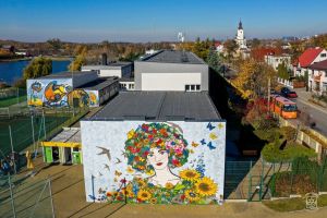 Mural "Łąka kwietna" na budynku SP 2 w Strykowie, widok z lotu ptaka