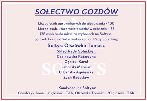 Wyniki w Gozdowie