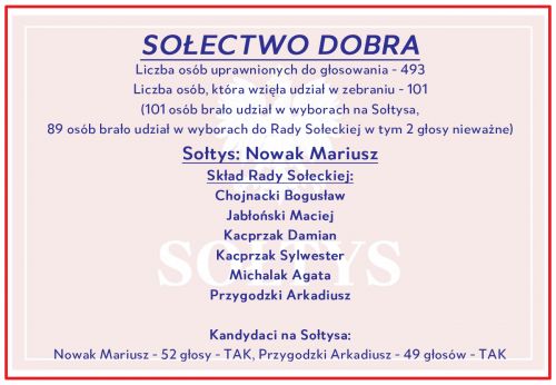 Wyniki w Dobrej