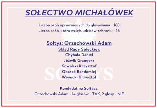 Wyniki w Michałówku