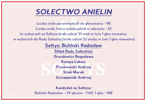 Wyniki w Anielinie