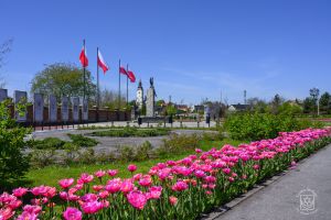 Zazielenianie i ukwiecanie terenu przed Pomnikiem Niepodległości - stan po zakończeniu prac