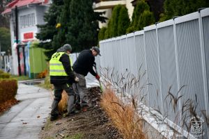 Wymiana ogrodzenia przy Przedszkolu Samorządowym - stan po zakończeniu inwestycji, w trakcie dokonywania nasadzeń