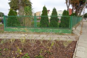 Wymiana ogrodzenia przy Przedszkolu Samorządowym - stan przed rozpoczęciem inwestycji