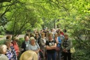 Wycieczka SAS do Arboretum w Rogowie