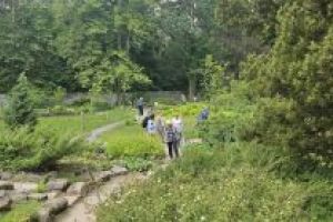 Wycieczka SAS do Arboretum w Rogowie