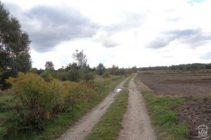 Budowa drogi gminnej Dobra - Klęk - stan przed rozpoczęciem prac
