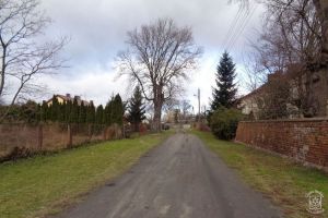 Przebudowa Placu Staszica w Bratoszewicach - stan przed rozpoczęciem inwestycji