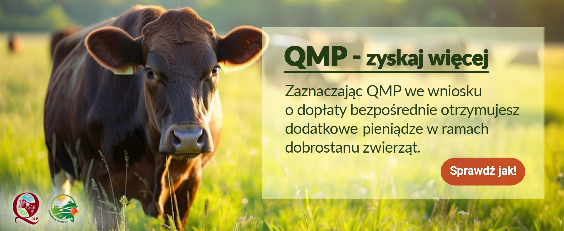 Ekoschemat Dobrostan Zwierząt