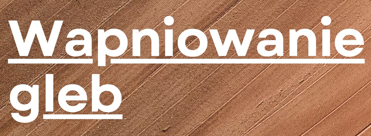Nabór wniosków w ramach Programu Priorytetowego 